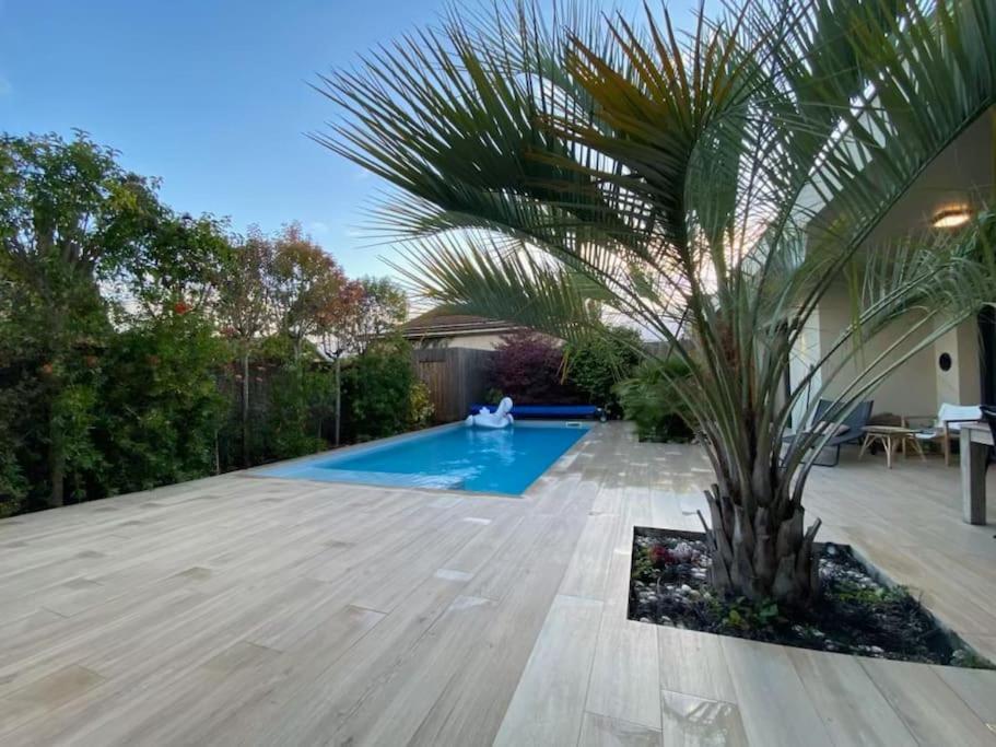 Maison D Architecte Bruges/Piscine Chauffee/Tram D Dış mekan fotoğraf
